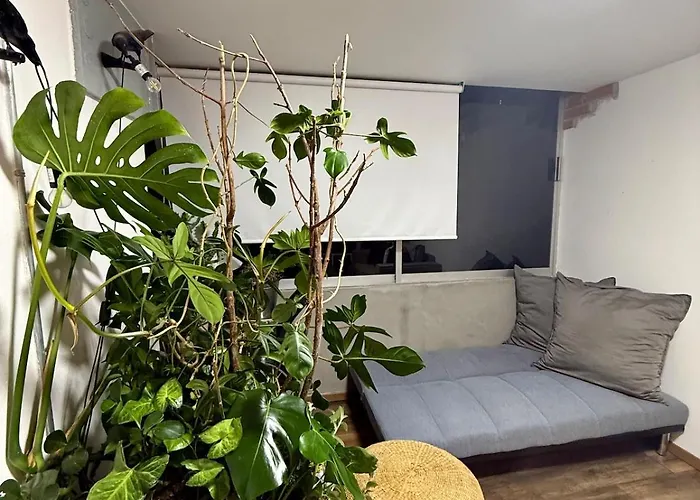 Stylish & Vibrant In The Heart Of Roma Norte *