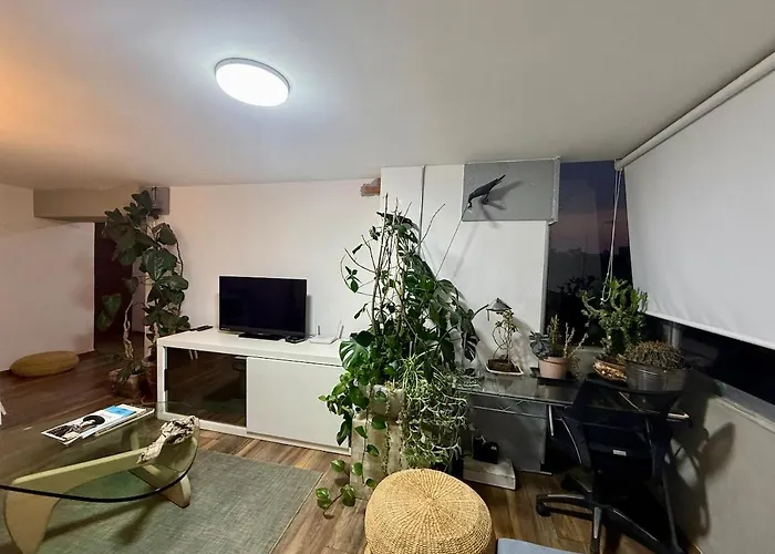 Stylish & Vibrant In The Heart Of Roma Norte Apartment Mexiko-Stadt
